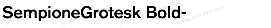 SempioneGrotesk Bold字体转换